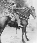 Cavalry soldier.webp