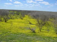 IMG_0060.webp