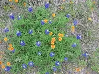 IMG_0159.webp