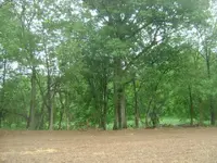 DSC00547.webp