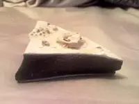 Seaviculite (3).webp