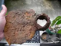 DSCN0969.webp