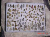 DSC01823.webp