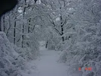 MVC-013S[1].webp