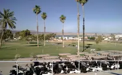 lbgc 01a.webp
