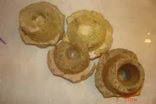 stopper 001.webp