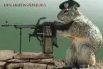 Home defense.webp