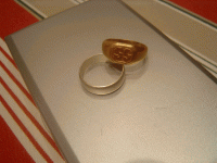 DSC03023.gif