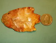 fish point size.webp