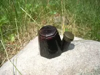 DSCN0422.webp