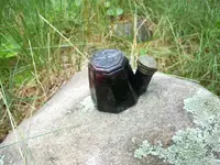 DSCN0426.webp