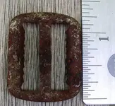 buckle1.webp