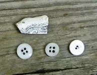 buttons.webp