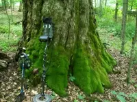 JUNE 5TH AND 6TH CELLAR HOLE HUNTS 007 [].webp