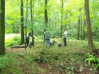 JUNE 5TH AND 6TH CELLAR HOLE HUNTS 017 [].webp