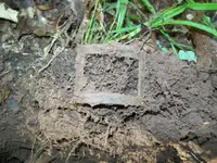 JUNE 5TH AND 6TH CELLAR HOLE HUNTS 018 [].webp