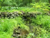 JUNE 5TH AND 6TH CELLAR HOLE HUNTS 020 [].webp