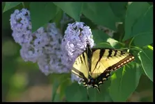 20100416_1441 (650x439).webp