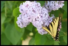 20100416_1442 (650x439).webp