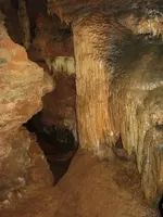 ISGRIG4.webp