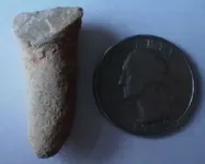 tooth1.webp