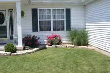Mrs Buckhunters flower beds 1.webp