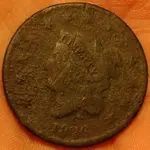 slacd12.webp