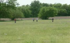 RES01099.webp