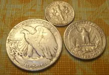 silver back.webp