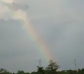 Rainbow.webp