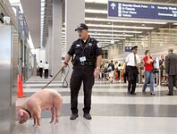 Airport-Security-R.jpg
