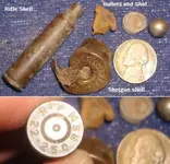 Bullets and shellsComp.webp