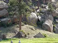 Med Tree near cave Corrected.webp