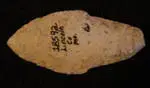 Wabusa (1).webp