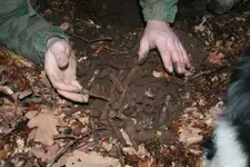 FundstÃ¼cke 059_640_427.webp