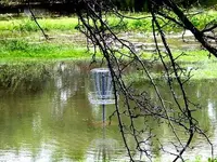 disc golf anyone.webp