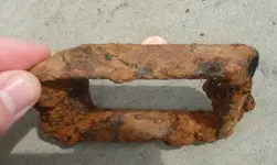 buckle3.webp