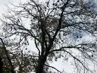 100_0024.webp