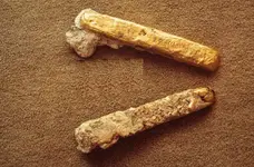 Two Gold Bars.webp