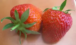 strawberry 003.webp
