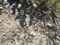 100_6569-2.webp