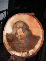 DSCF0377.webp