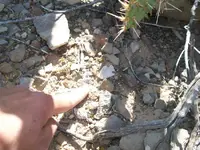 100_6570.webp