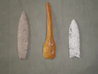 P2061798_resize.webp