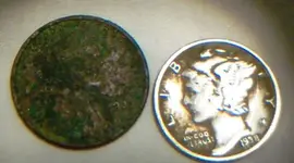 Virginia Hunt Finds.webp