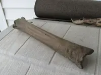 cannon3.webp