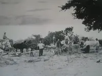 Baling Hay 001.webp