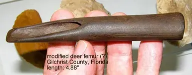tooldeerfemur.webp