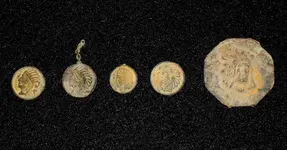 Finds_Indianheads6-07-2010.webp