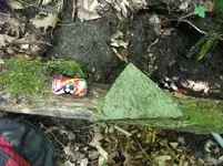 triangle stone.webp